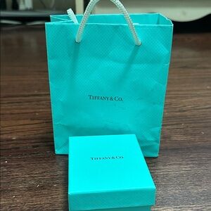 Tiffany & Co. Robin's Egg Blue Gift Bag with Matching Box